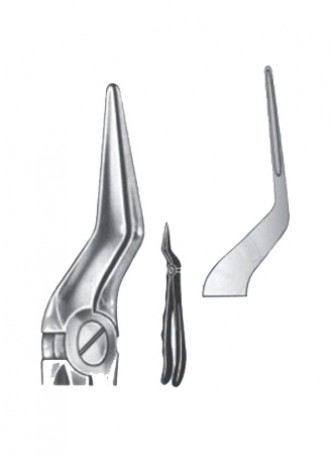 Extracting Forceps